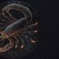 камъни за зодия Скорпион